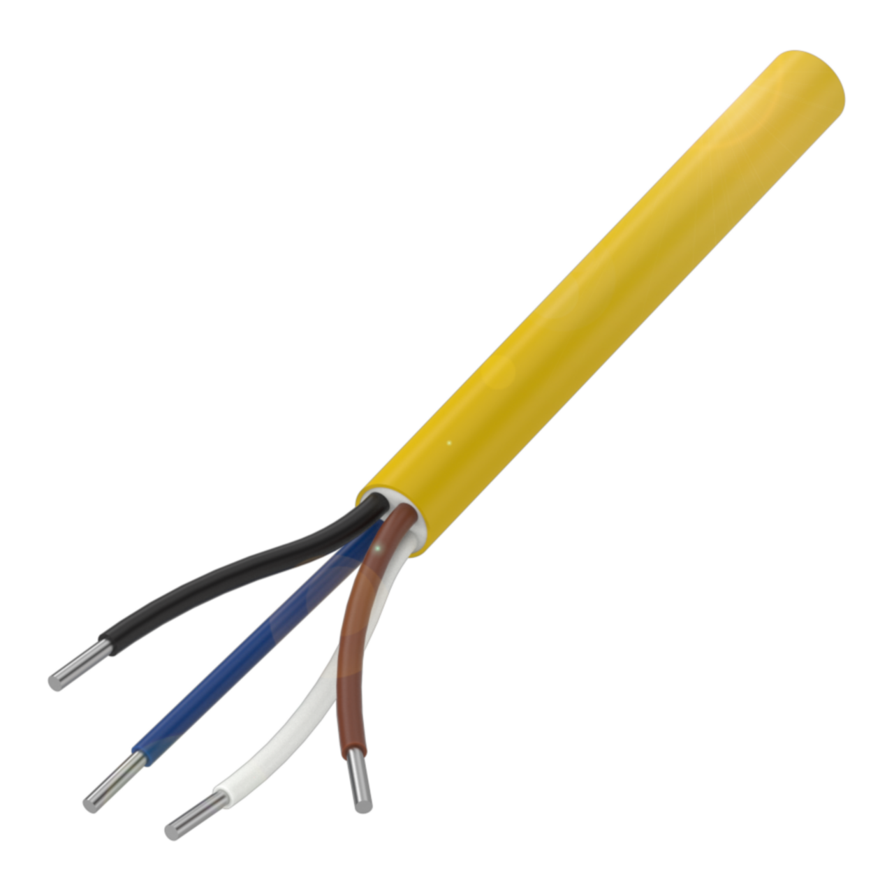 BCC 0000-0000-00-003-VX44T2-10X