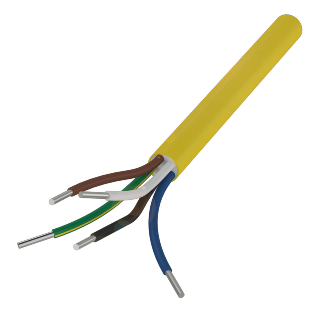 BCC 0000-0000-00-034-EX45T2-10X